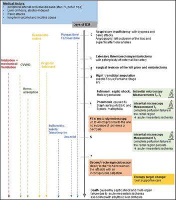 Case report: Early detection of mesenteric ischemia by intravital microscopy in a patient with septic shock